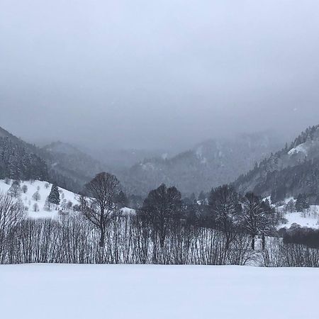 Forest Apartment-Forest Escape Menzenschwand St. Blasien Exterior foto