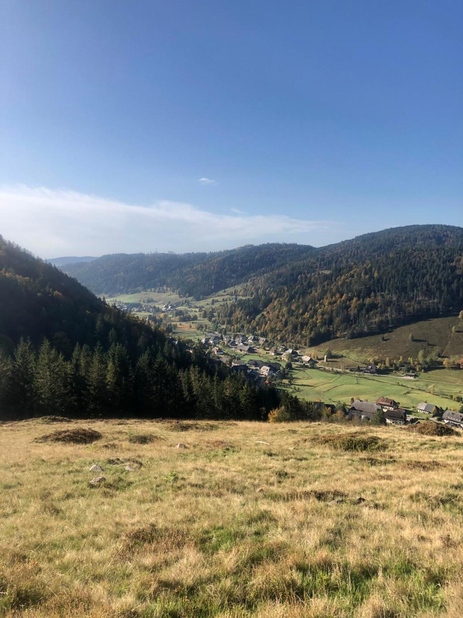 Forest Apartment-Forest Escape Menzenschwand St. Blasien Exterior foto
