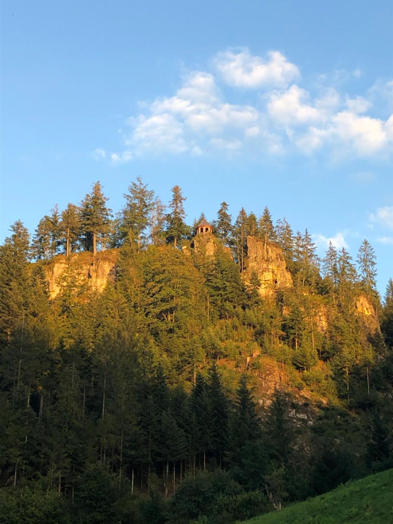 Forest Apartment-Forest Escape Menzenschwand St. Blasien Exterior foto